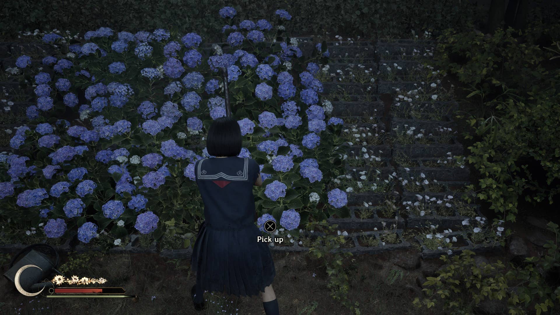 Хинако смотрит на цветочный куст во дворе школы в Silent Hill f