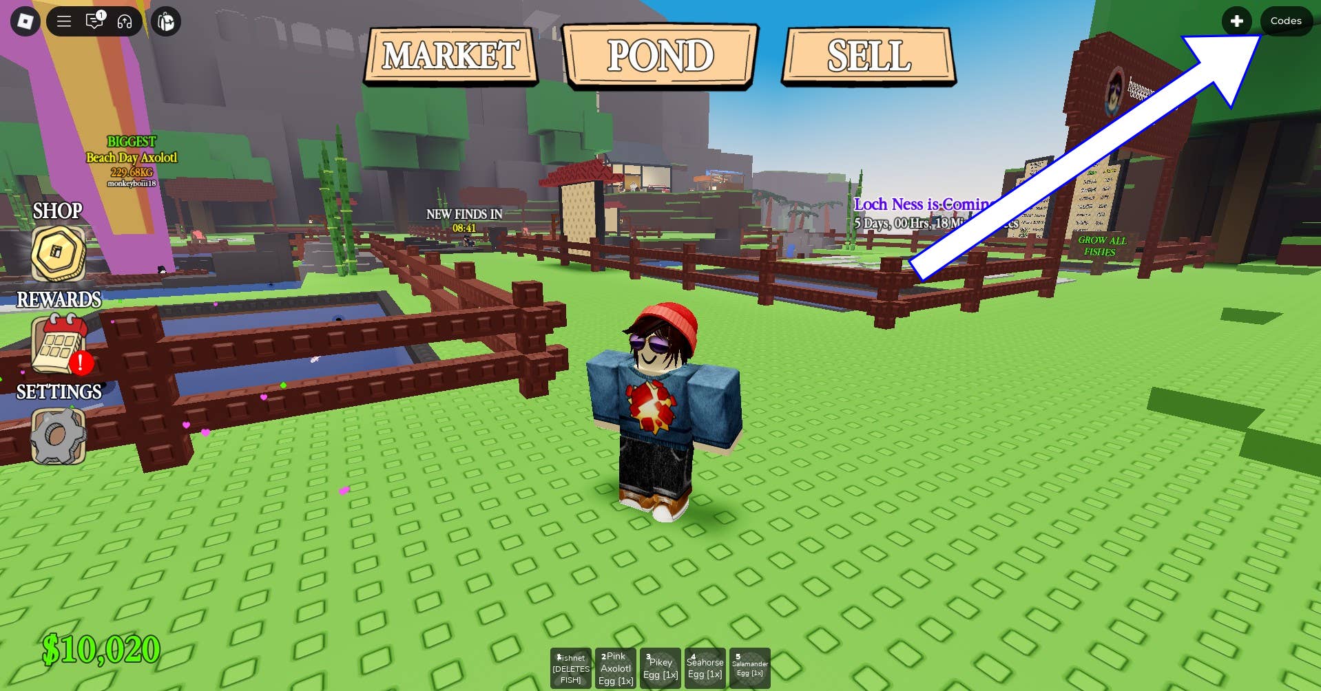 Скриншот Own a Fish Pond в Roblox с кнопкой кодов игры.