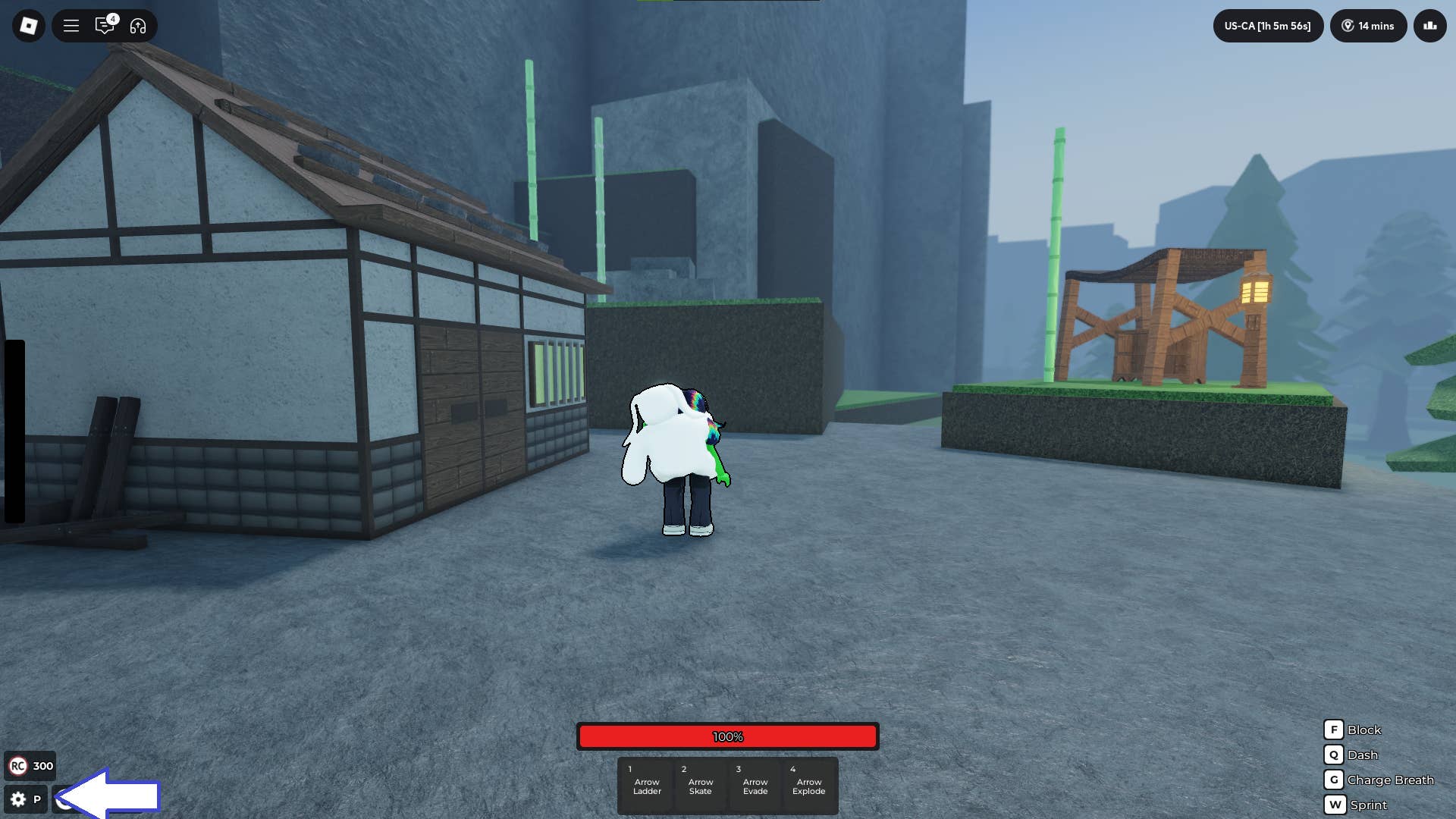Скриншот Rogue Demon в Roblox, показывающий кнопку настроек игры.