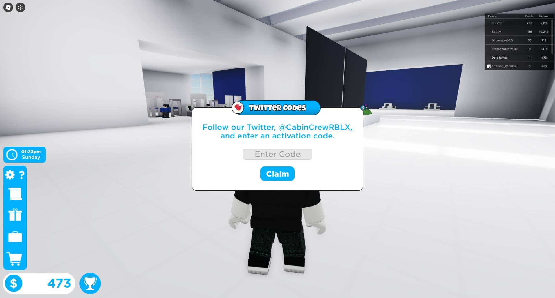 Всплывающее окно для ввода кода и его получения в Cabin Crew Simulator.