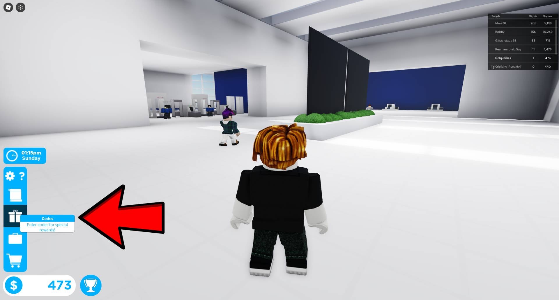 Красная стрелка указывающая на пункт с кодами на левой стороне экрана в Cabin Crew Simulator.