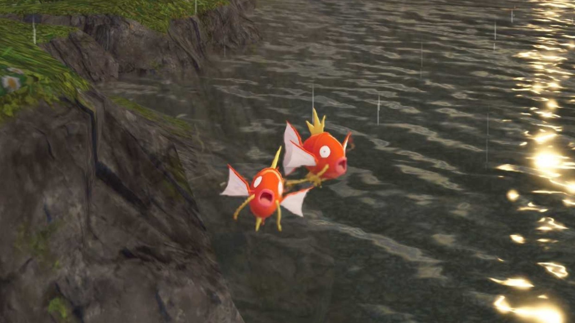 Pokémon Legends: Z-A — Дикая зона 2, Магикарп