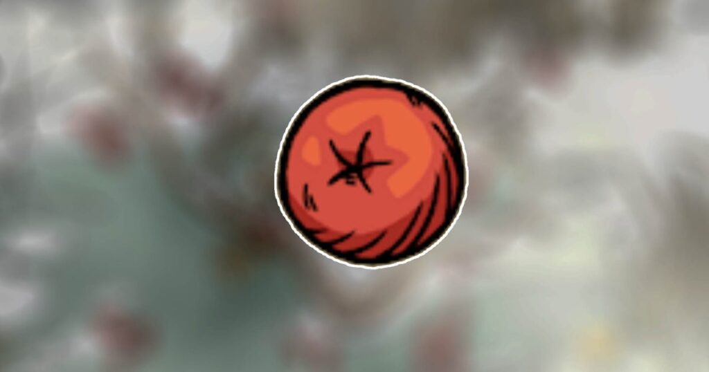 Расположение ягод рябины в Winter Burrow